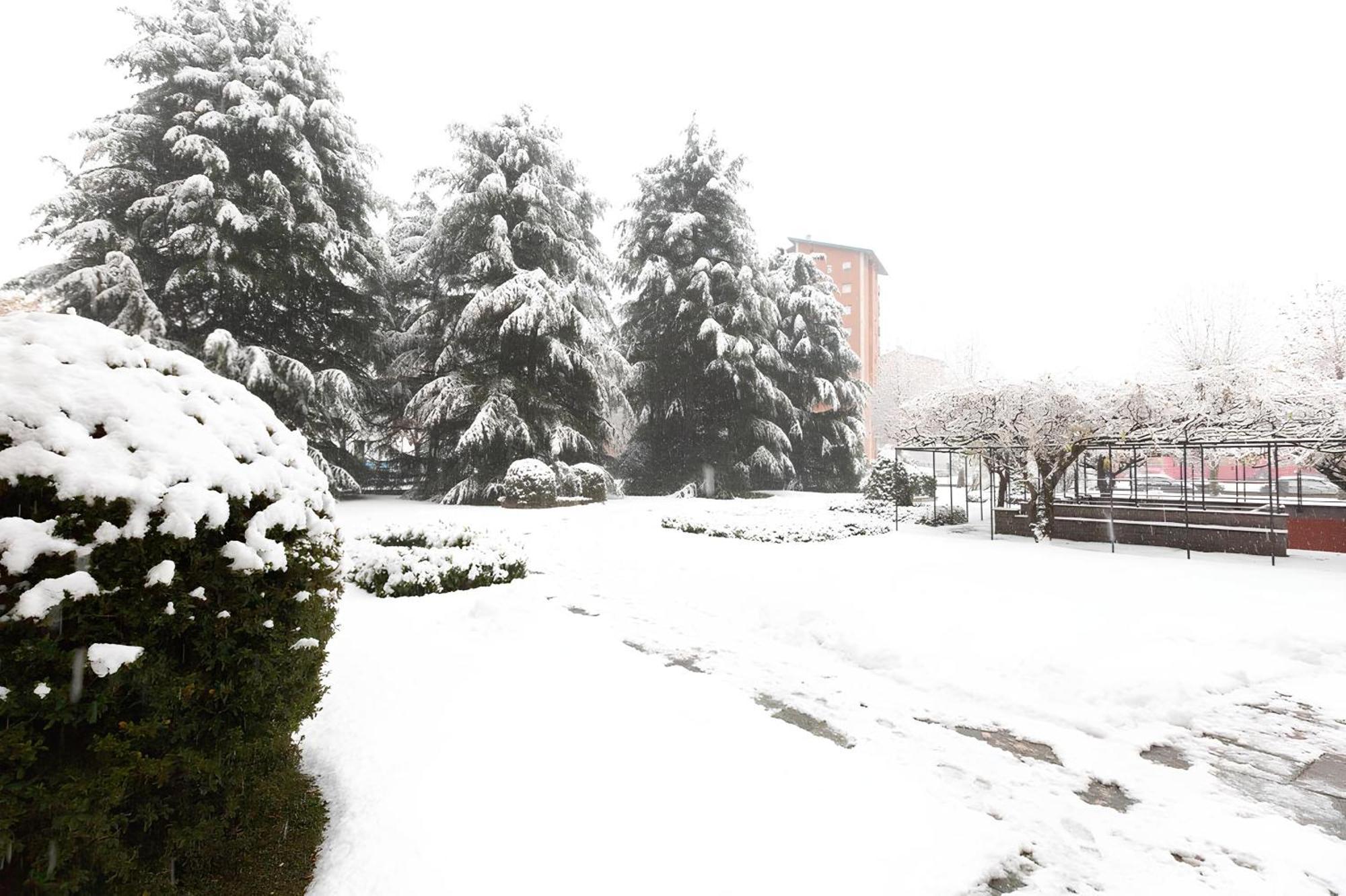 I Cedri Daire Torino Dış mekan fotoğraf